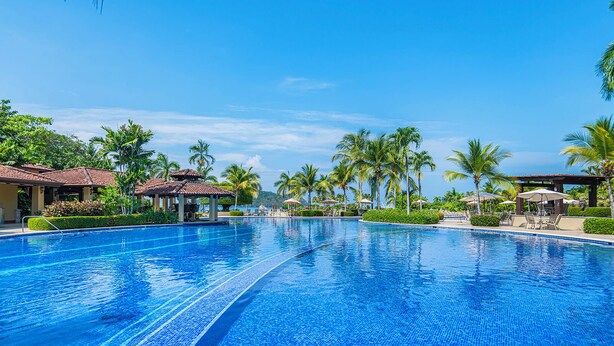 Una piscina amplia y cristalina rodeada de sillones de descanso y palmeras.