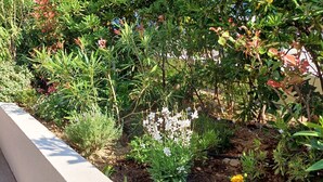 A garden with various plants and flowers, a concrete border, and a small water feature. - Antares by Interhome (Cavalaire)