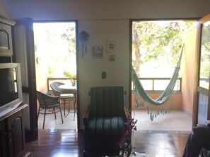 Una televisión, una chimenea, un reproductor de DVD