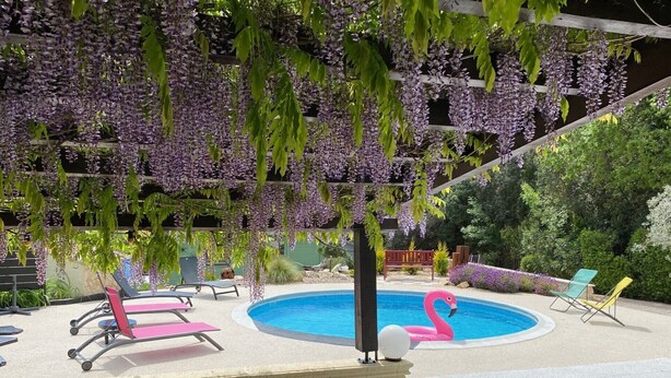 Zona de piscina amb un porxo de fusta cobert de flors morades, gandules i un flotsam de flamenc.