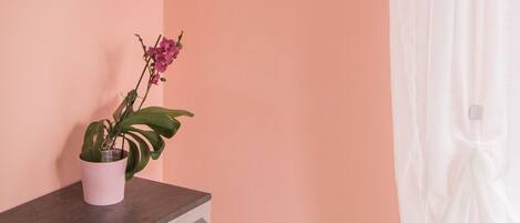 A room with a pink wall, a gray cabinet, a potted plant, a framed picture, and a white curtain.