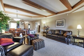 TV, fireplace, video games, DVD player