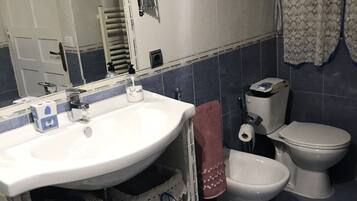 Shower, hair dryer, bidet, towels