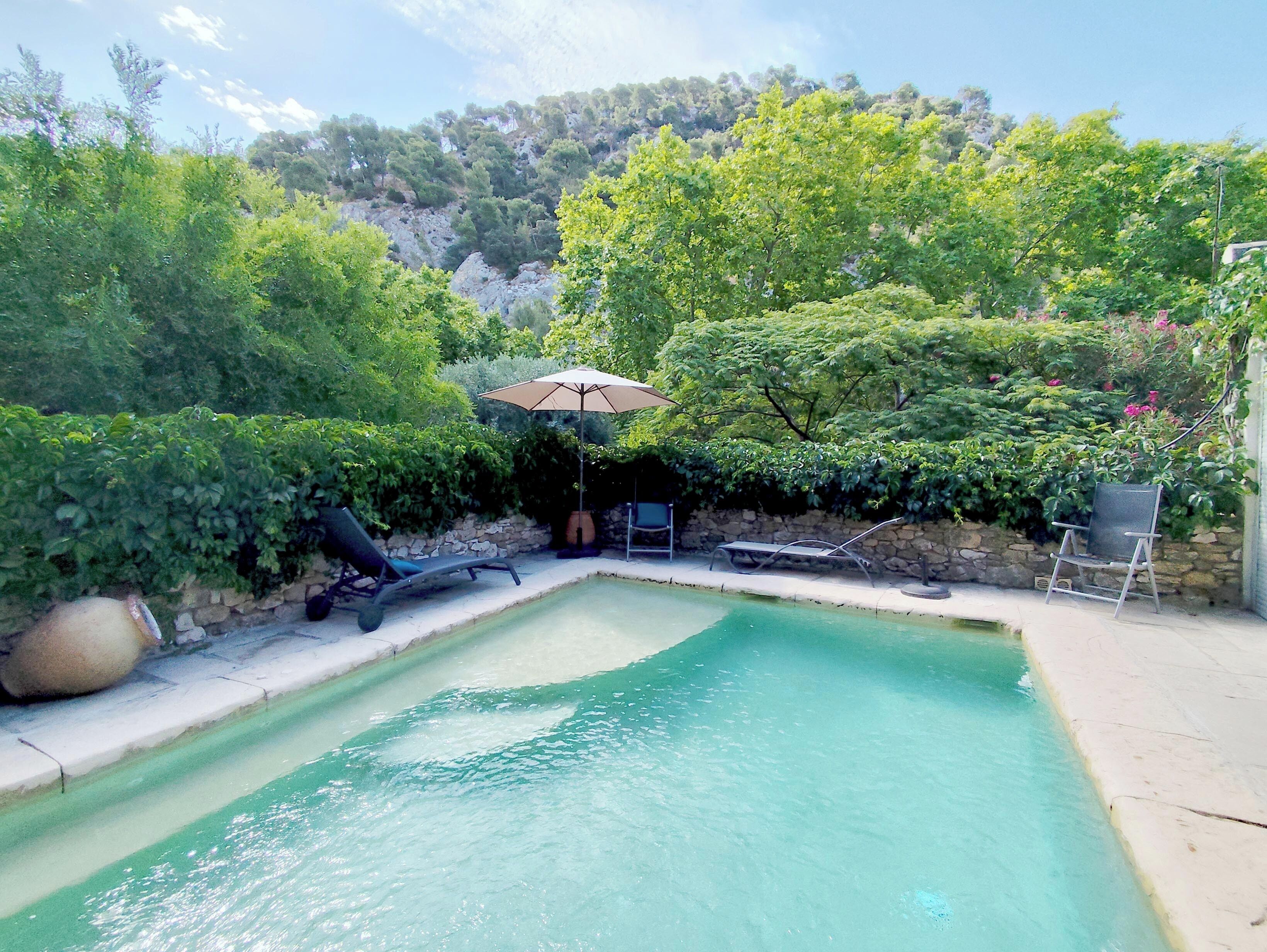 A swimming pool with lounge chairs and an umbrella, surrounded by lush greenery and a stone wall.