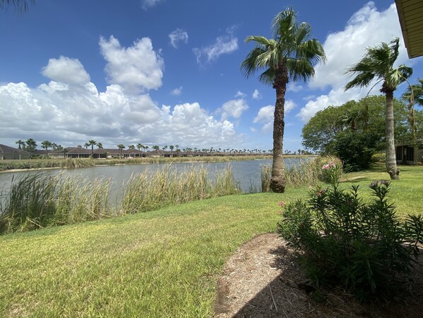 A lakeside view with a grassy area, palm trees, and a row of houses in the background.