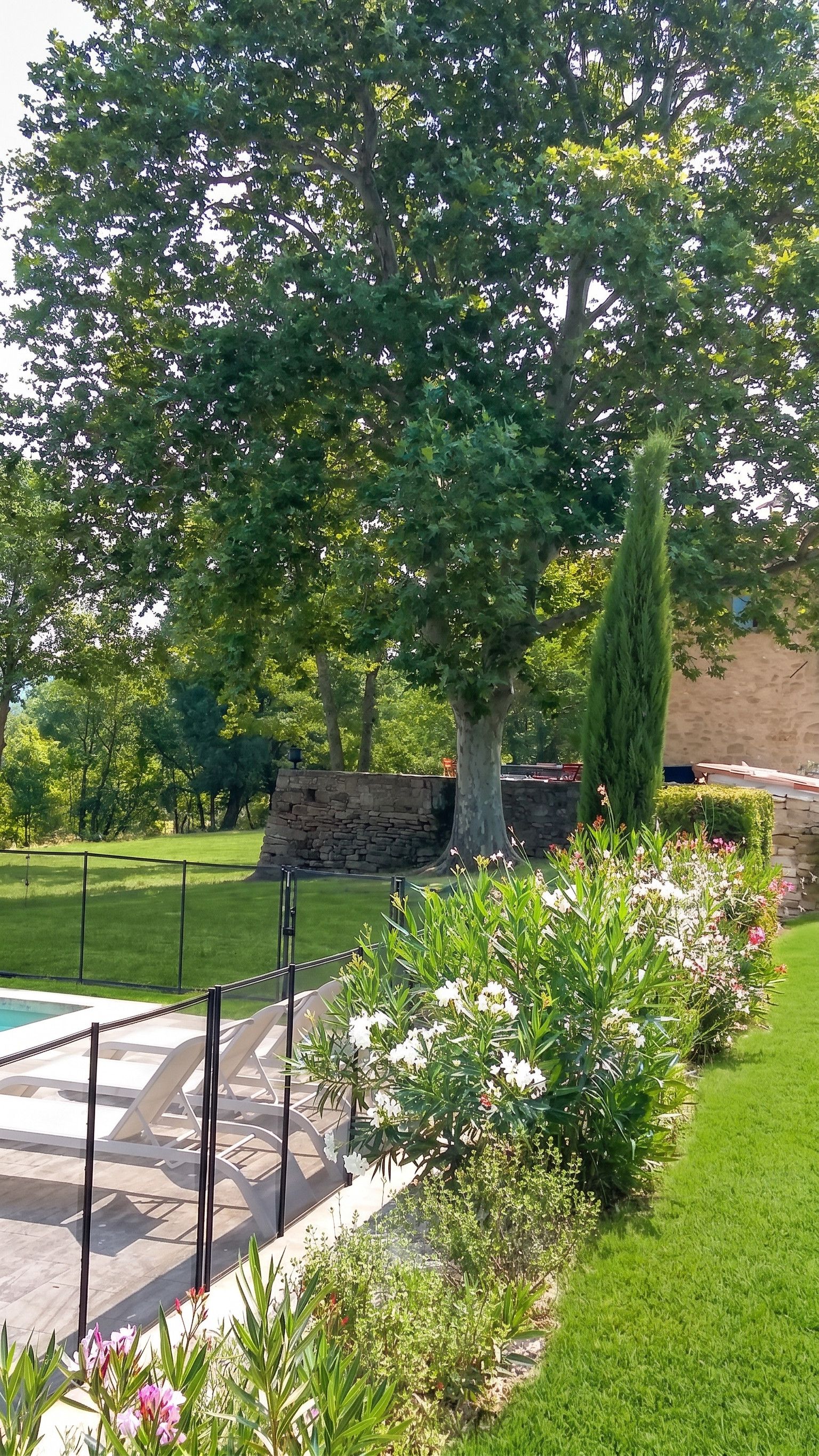 Jardin