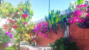 Un patio con una mesa y sillas, rodeado de macetas con plantas y arbustos florecientes.