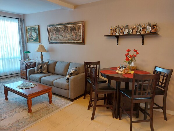 TV, DVD player, books, video library