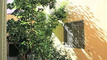 Detalle exterior