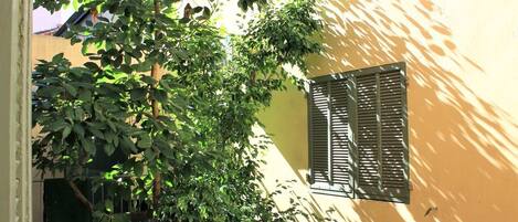 Details aan de buitenkant