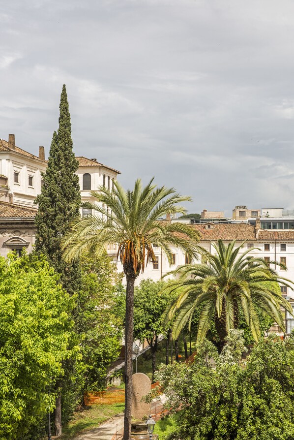 A courtyard with palm trees, a tall coniferous tree, and buildings with traditional architecture.