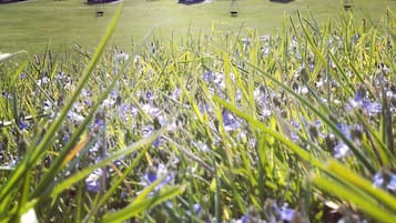 Jardines del alojamiento