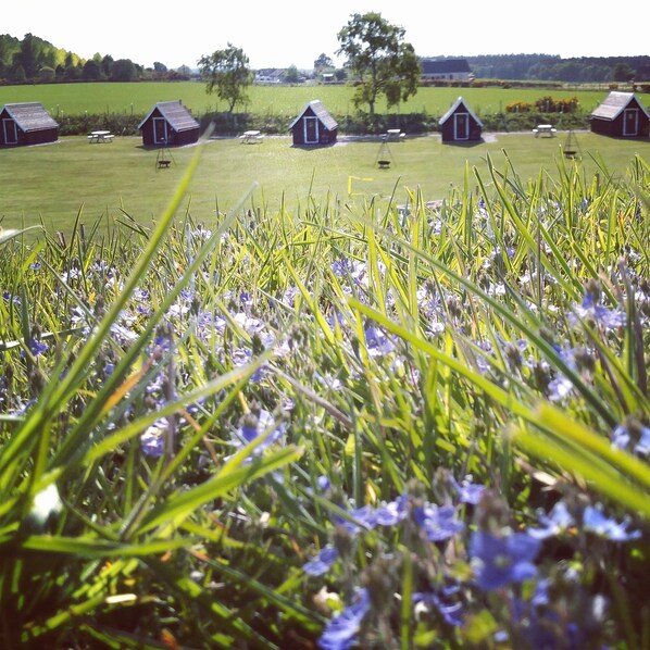 Property grounds - Macbeth's Hillock - Pod 1 (Forres)