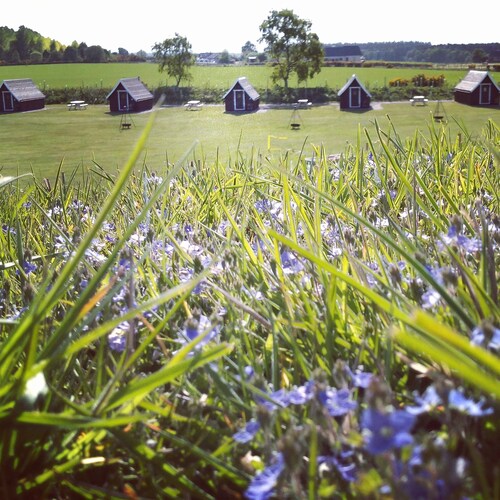 En Suite Glamping Pod, Sleeps 2 adults and 2 children, dog friendly.