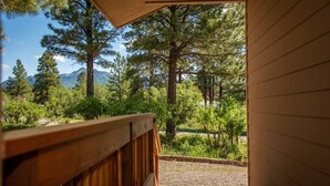 Une terrasse en bois offrant une vue sur une forêt et des montagnes.