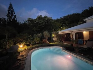 Ein Schwimmbecken mit Steinbordstein, umgeben von einem Garten mit verschiedenen Pflanzen und Bäumen.