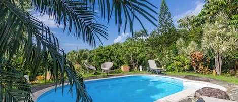 Piscina com espreguiçadeiras e vegetação tropical.