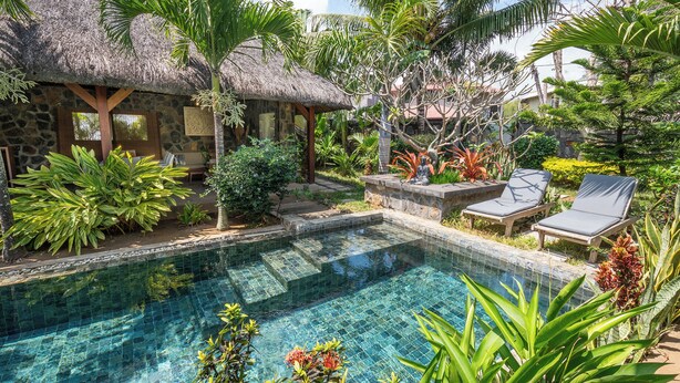 A pool surrounded by lush greenery and a thatched-roof structure.