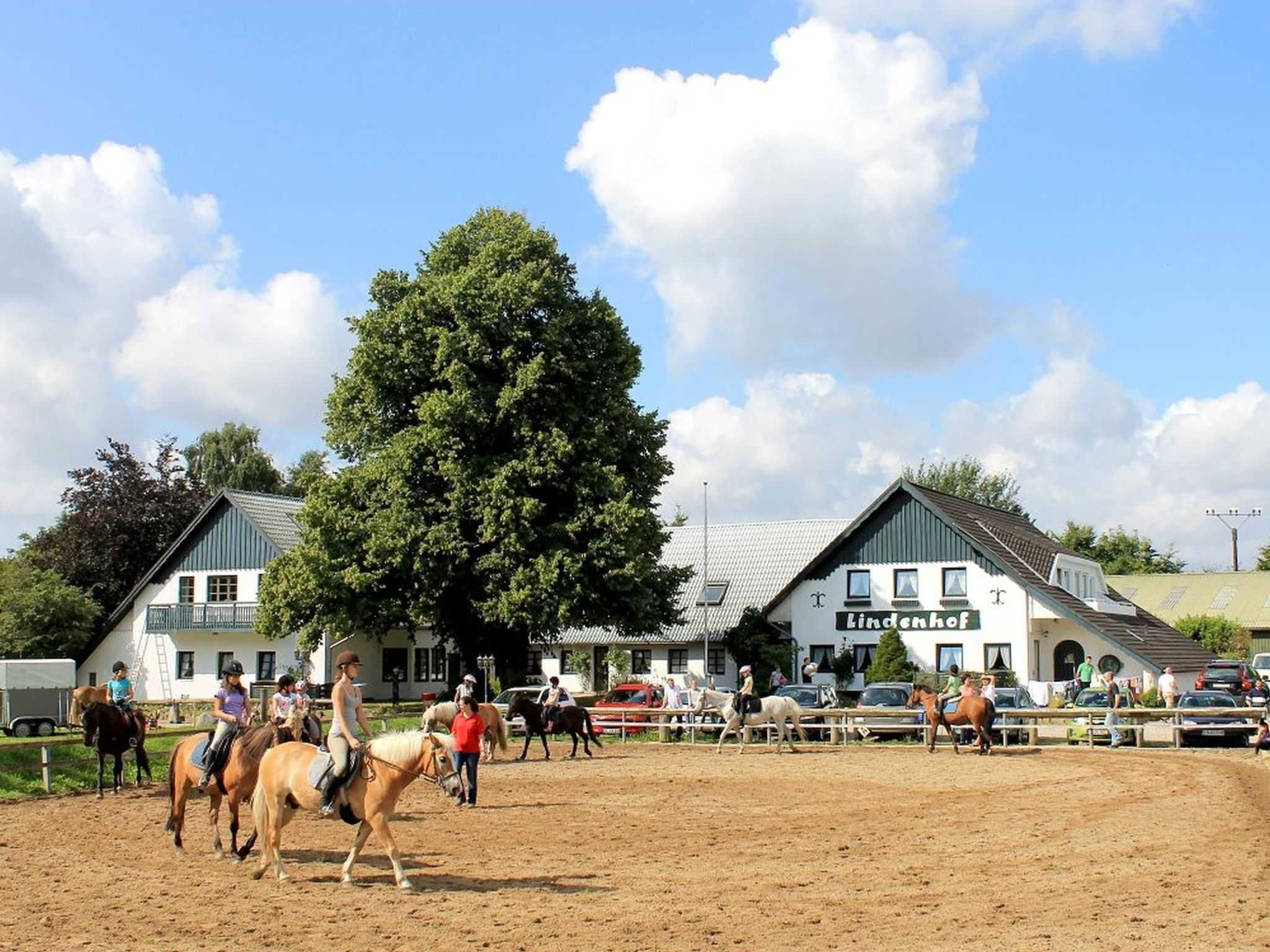 Un espacio tranquilo con caballos y jinetes, rodeado de edificios con un letrero que dice 'Lindenhof'.
