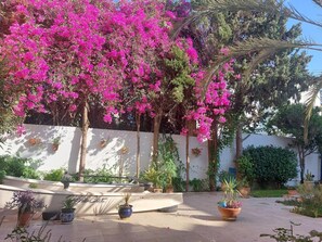 Overnattingsstedets uteområder