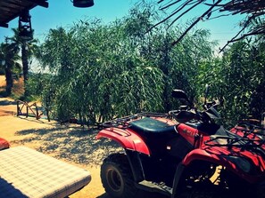 บริเวณภายนอก