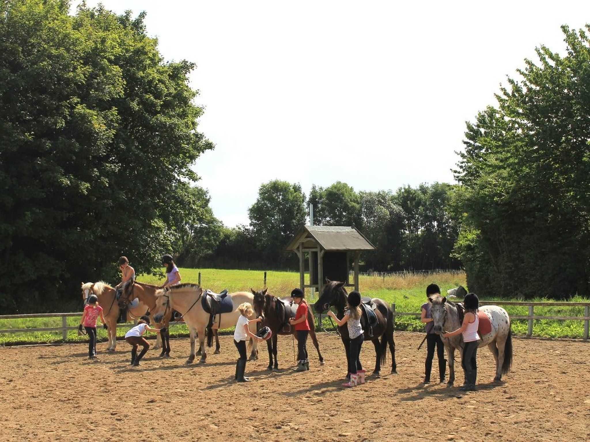 Um grupo de pessoas com cavalos em uma arena ao ar livre, com um pequeno edifício ao fundo.