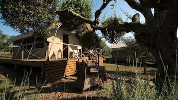 Tenda Eksklusif, pemandangan kolam renang | Balkon