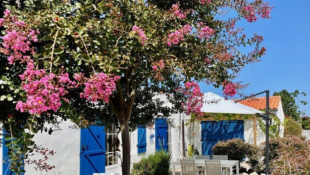A white building with blue shutters, a tree with pink flowers, and outdoor seating. - La Cabane de pêche de la Cotinière (Saint-Pierre-d´Oléron)