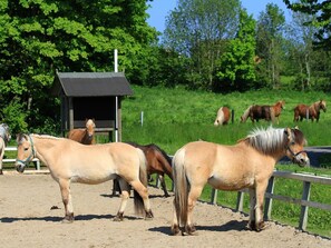 Nicht klassifiziertes Bild, 4 von 13, Schaltfläche