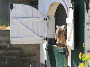Botón de imagen sin clasificar, 3 de 13