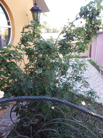 Dom 5 spalniami ortachala