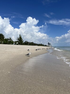 Nära stranden, solstolar och strandhanddukar