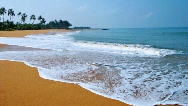 A beach with clear blue water, sandy shore, and palm trees in the background. - New York Guest House (Negombo)