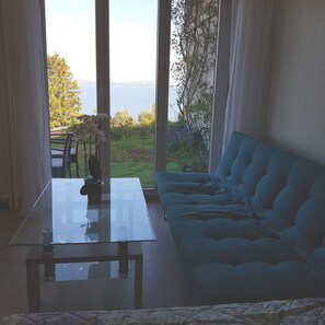 Studio, 1 Queen Bed with Sofa bed, Terrace, Lake View (incl. CHF 70 cleaning fee per stay) | Living area | Smart TV
