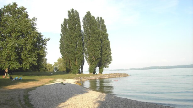 A pebbled beach with trees and a calm lake. - Littoral Lac (La Grande-Béroche)