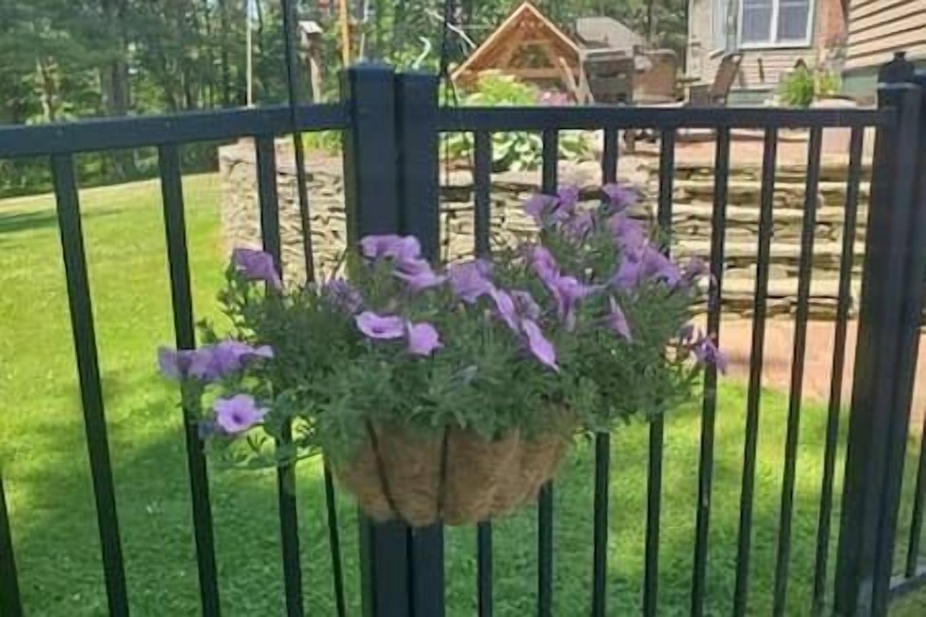 Ein schwarzer Metallzaun mit hängendem Blumenkasten, der violette Blüten birgt.