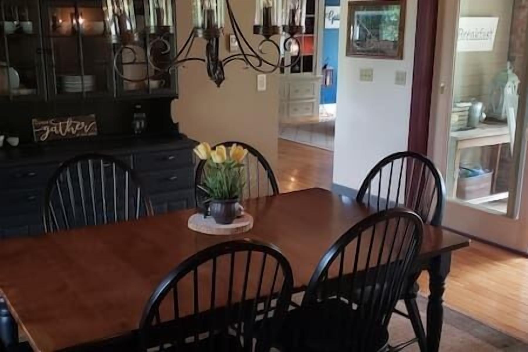Un coin repas avec une table en bois et quatre chaises, une plante en pot et un lustre.