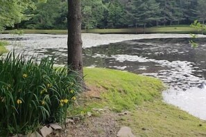 Property grounds - Paper Mill Pines: The Sycamore Room (Shickshinny)