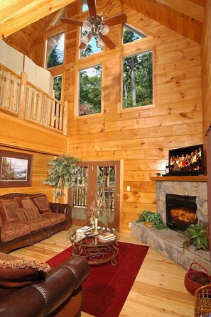 TV, peis, videospill og DVD-spiller