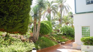 Een aangelegde tuin met palmstruiken en een tegelpad dat naar een gebouw met een groen en wit gevel leidt.