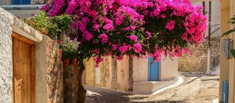 Casa tradizionale con una camera da letto 