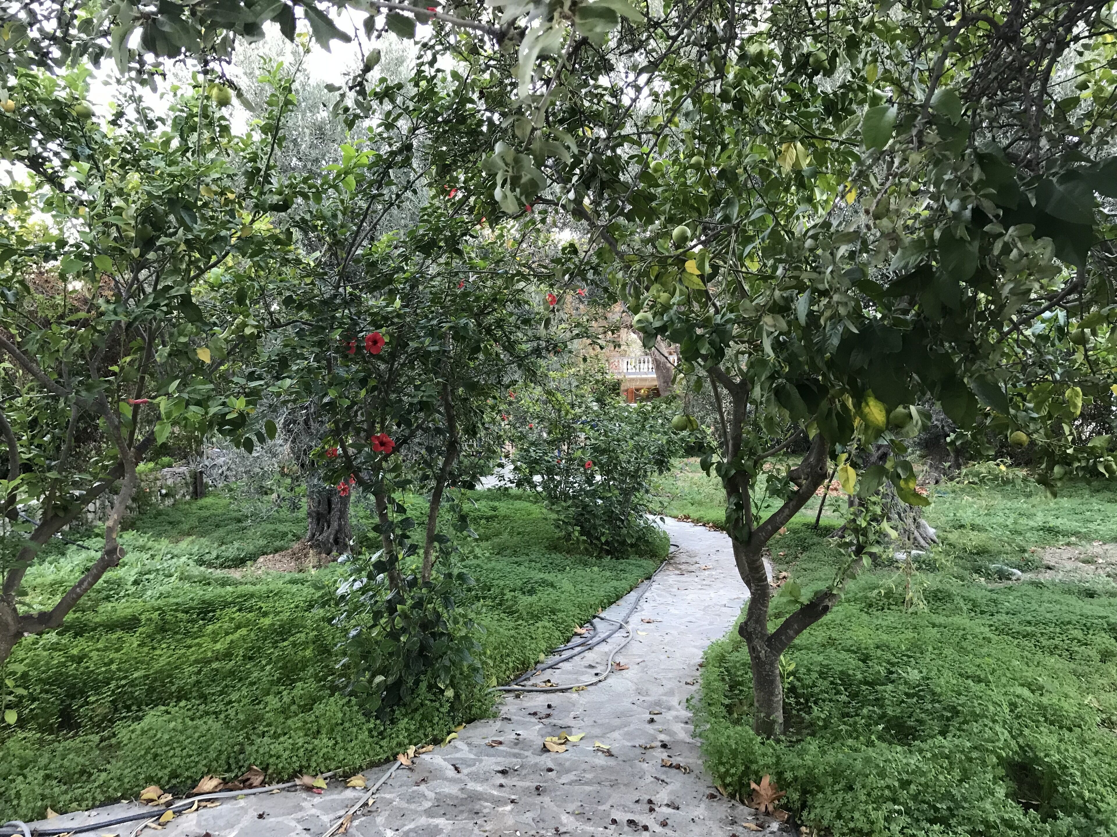 Enceinte de l’hébergement