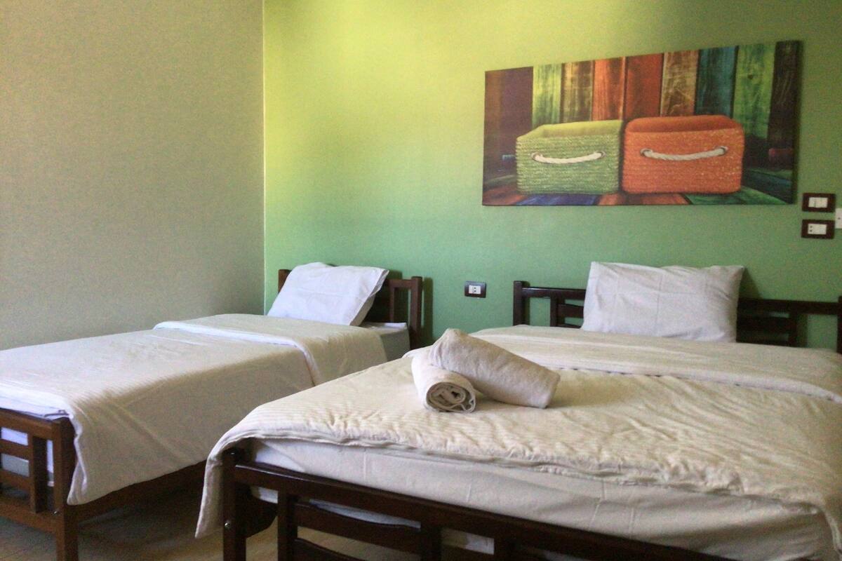Two single beds with wooden frames and white bedding in a room with green walls.