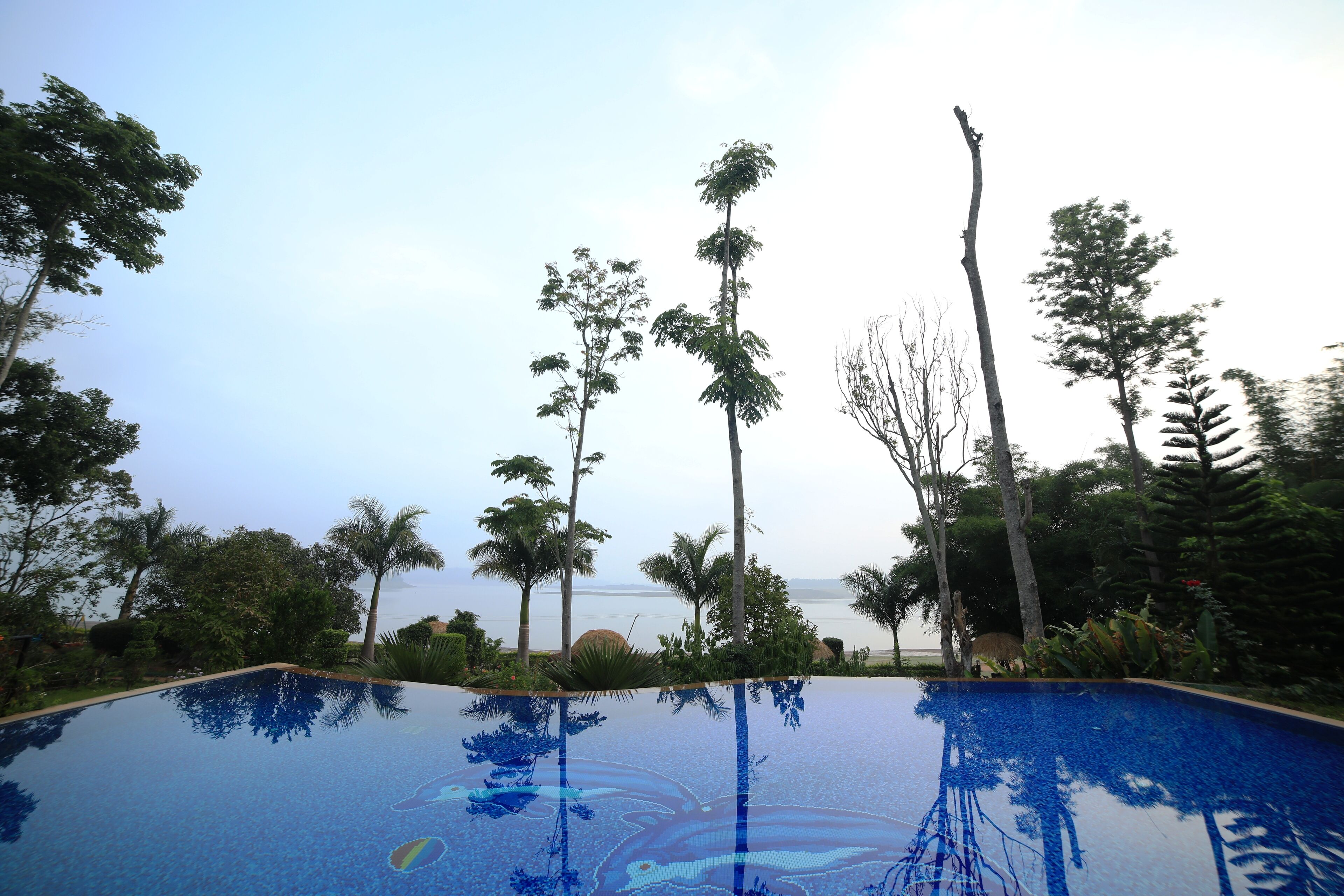 Una piscina con vistas claras al mar y palmeras.