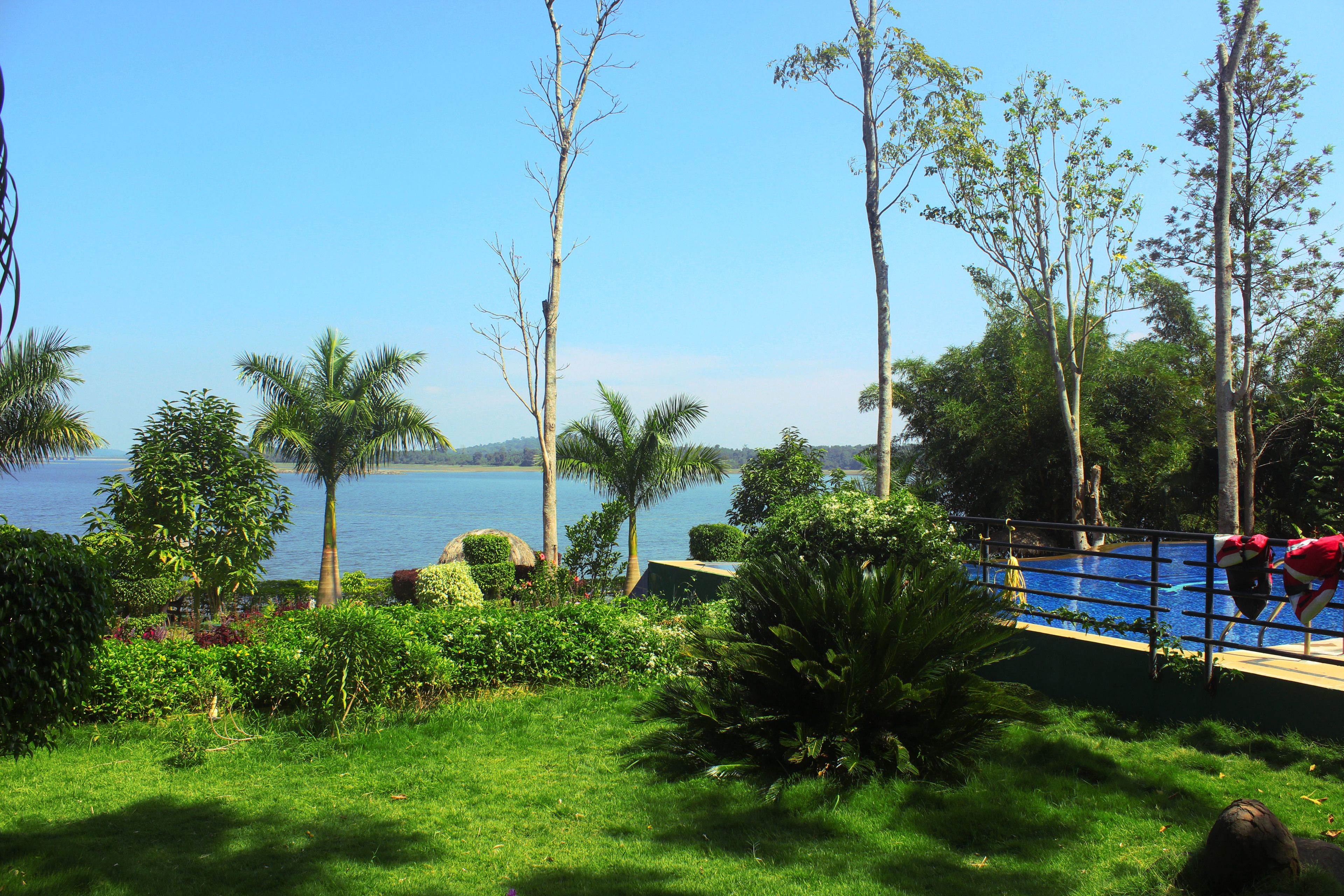 A view of a lake with trees and a bridge.