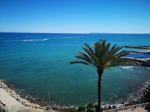 Une vue sur la côte, avec un palmier, une côte rocheuse et une mer calme.