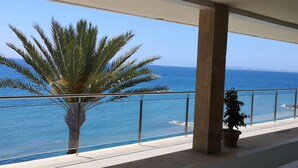 Een balkon met uitzicht op zee, een palmboom en een bloempot.