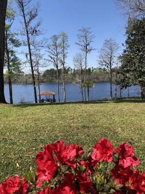 Property grounds - Lakefront Home, beautiful setting, only 30 minutes drive from the Beaches of 30A (Chipley)