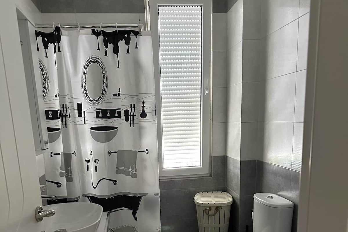 basic apartment | bathroom | shower, hair dryer, bathrobes, slippers