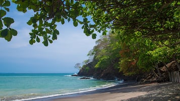 Playa en los alrededores, camastros y toallas de playa